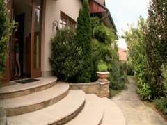 ブロンド, ポルノスター