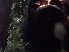 Brunette, Par, Sæd i munnen, Lesbisk, Orgasme, Offentlig, Fitte