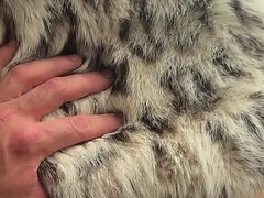 Horny MILF in a Luxury Snow Leopard Fur Coat Fucked Hard! Fur Coat Fetish Sex