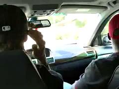 Tiny s black adventures - Melrose cut