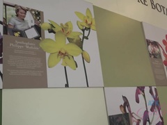 Amatéri, Prstovanie, Priateľka, Vonku, Z pohľadu účastníka, Pička, Striekať, Kozičky