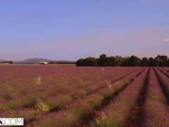 Niogtres, Pik sutte, Creme tærte, Tjekke, Slikning, Fisse, Ridning, Bryster