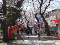 Azijci, Rjavolaska, Notranji izliv, Zunanji izliv, Grupni, Japonka, Študentje, Najstnice