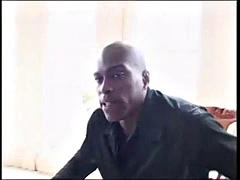 Anaali, Kauniit, Iso kulli, Musta, Suihinotto, Tumma, Sekarotuinen