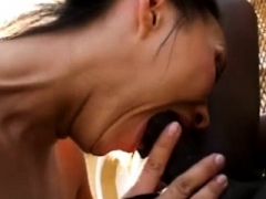 Sucer une bite, En levrette, Hard, Hd, Interracial, De plein air