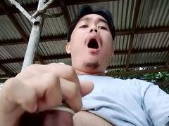 Leie, Asiatisch, Grosser schwanz, Spermaladung, Schwul, Handjob, Im freien, Solo