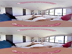 Háromdimenziós, Kisbaba, Monumentális dákó, Tekintélyes didik, Gesztenyebarna, Kőkemény, Pornósztárok, Nézőpont