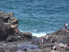 Lily leaves her mark in the bushes as soon as she gets to Hawaii