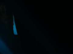 아기, 흑갈색 머리