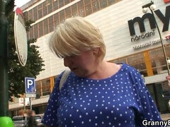 Blondína, Kuřba, Českej, Európskej, Babi, Dospelé, Jazdectvo, Kozičky