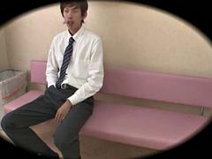 Tekintélyes didik, Cumizás, Japán, Begyek