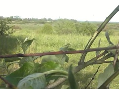 Morena, Maduro, Desnudo, Tetas naturales, Al aire libre, Público, Ruso, Solo