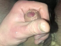 Brittisk, Europeisk, Hemmagjord, Mogen, Solo