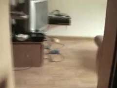 Amateur, Mamada, Corrida, Cornudo