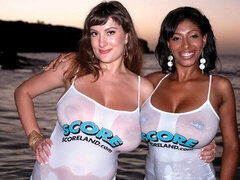 Strand, Stor stjärt, Stora tuttar, Underkläder, Milf, Utomhus, Trosor, Stockings