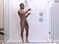 Homo, Rankka, Hd
