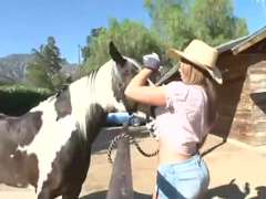 Fajok közötti, Orgazmus