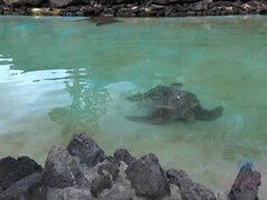 Strand, Blondine, Freundin, Höschen, Zierlich, Rasiert, Tätowierung, Titten