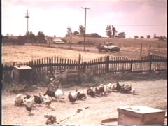 Peaches And Cream - Vintage Classic XXX Movie