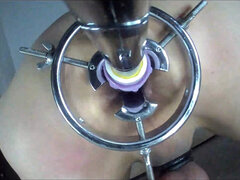 Amerikanisch, Besamung, Spermaladung, Dildo, Klaffend, Masturbation, Dürr, Solo