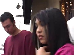 Ázsiai, Tekintélyes didik, Gesztenyebarna, Ondó fröcskölés, Kézimunka, Kőkemény, Érett koros, Begyek