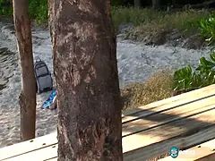 Leie, Strand, Bikini, Blondine, Hd, Masturbation, Im freien, Solo