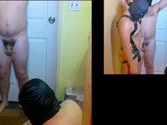 본디지 훈육 사디즘 마소치슴, 본디지, 게이