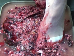 I Pee in Your Cake and Trample It with My Feet