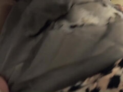 Amerikansk, Smuk, Brunette, Hd, Mor jeg gerne vil kneppe, Nylon, Strømper, Sluge