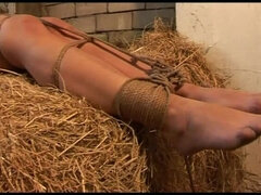 Enthousiasteling, Grote mammen, Zwart, Rondborstig, Vrouw, Ondergoed, Vastgebonden