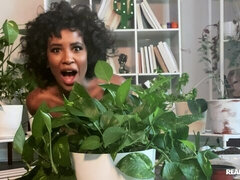 Cul, Noir ébène, Doigter, Béant, Branlette thaïlandaise, Solo, Adolescente, Webcam