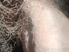 Peludo, Casero, Indio, Solo