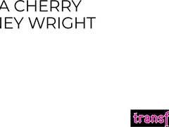 Anaali, Iso perse, Suihinotto, Selkäsauna, Äiti jota haluaisin panna, Pillu, Transu