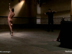 Sitominen alistaminen sadomasokismi masokismi, Musta, Sidonta, Aisankannattaja, Tumma, Fetissi, Sekarotuinen, Vaimo