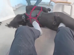 Bdsm, Bondage, Fetiš, Gagging, Hd, Bradavičke, Orgazem, Dokolenke