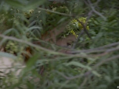 Gorda, Culo grande, Tetas grandes, Morena, Tetona, Lesbiana, Tetas naturales, Tetas