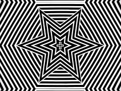 Tekintélyes didik, Krémes süti, Begyek