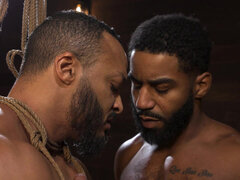 Sadomasochismus, Blasen, Fesselspiele, Gruppensex, Erniedrigung, Latex, Leder, Ringkampf