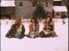 Eroottinen, Fetissi, Karvainen, Rankka, Vanhempi, Vuosikerta