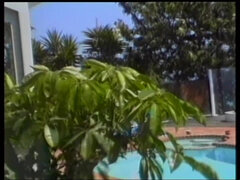 Kuřba, Striekanie semena, Skupina, Bazén, Zastarané