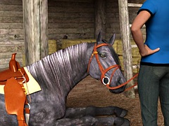 En tercera dimension, Negro, Ébano, Maduro, Madres para coger, Al aire libre, Bajo la falda