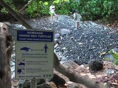 Amatør, Strand, Kæreste, Orgasme, Pov, Fisse, Ryger, Våd