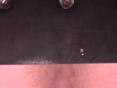 Grosse bite, Papa, Poilue, Hard