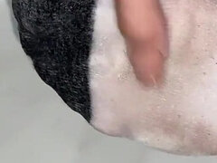 Amateur, Femme dominatrice, Fétiche des pieds, Massage, Chaussettes