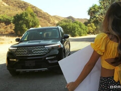 Ázsiai, Popó, Hatalmas hátsó, Kebles, Döci, Ébenfekete, Szabadban, Nuni