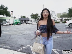 Amatööri, Suihinotto, Ruskeahiuksinen, Takaapäin, Rankka, Latinankieli, Ratsastaa, Ajeltu