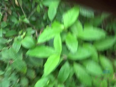 Amatéři, Černé, Exhibicionisti, Venku, Různé pohledy, Vyholené, Vyhublá, Voyeur