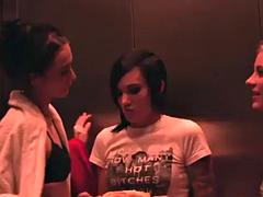 Cunnilingus, Chica, Morena, Gay, Sexo duro, Lesbiana, Lamidas