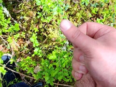Horny in Forest