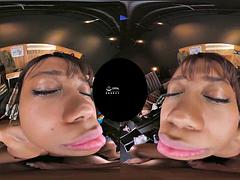 Háromdimenziós, Amatőr, Tekintélyes didik, Csoport, Valóság, Begyek